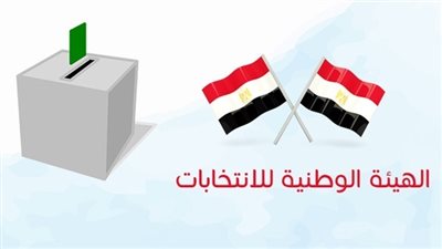 عاجل.. حرمان 3 دول من إجراء الانتخابات الرئاسية المصرية بها