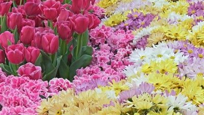  الارصاد الجوية تعلن عن موعد بداية فصل الربيع 2018