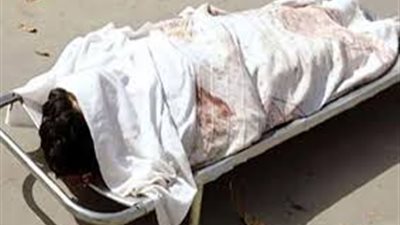 مصرع طالب تحت عجلات سيارة بالمنوفية