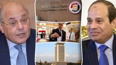 وزارة الهجرة تستجيب ل 270استفسارًا من المصريين بالخارج .. وترصد إقبالاً كبيرًا من على صناديق الاقتراع