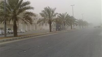 بالفيديو| الأرصاد تحذر من طقس غد السبت.. أمطار ورياح خماسينية تضرب البلاد