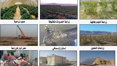 رئيس جهاز تعمير سيناء:جار تنفيذ مزرعة شباب الطور النموذجية للاستزراع السمكى والنخيل 