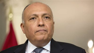 الخارجية تنفي إرسال مصر لقوات عسكرية إلى سوريا