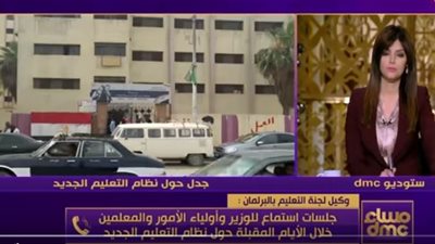 فيديو.. تفاصيل مشادة رئيس لجنة تعليم البرلمان مع طارق شوقى