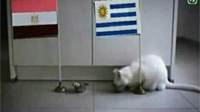 «القط أخيل» :أوروجواي تفوز على مصر في كأس العالم