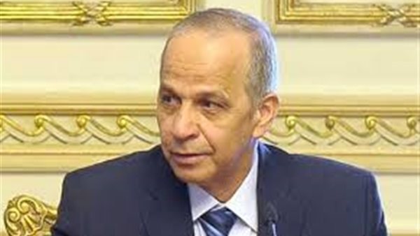 اللواء محمود عشماوى