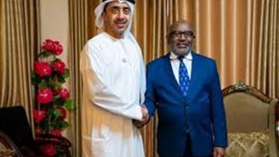  رئيس جمهورية جزر القمر يستقبل وزير الخارجية الإماراتي