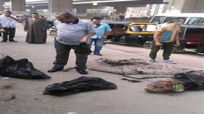 مصدر أمنى : يكشف حقيقة قيام 3 سيدات بإلقاء جثث الاطفال بمنطقة الهرم