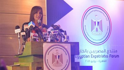 السفيرة نبيلة مكرم للمصريين بالخارج: أنتم أيضا تخوضون حربا للدفاع عن وطنكم بالخارج