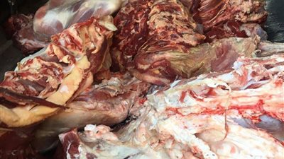 ضبط نصف طن لحوم غير صالحة بالسنطة 