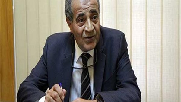 الدكتور على المصيلحى