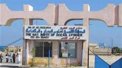 معهد تيودور بلهارس ينظم فعاليات المؤتمر العلمى الأول لقسم جراحة المسالك البولية السبت المقبل