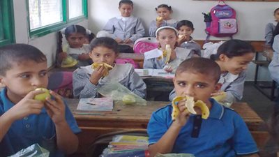 6 محافظات يتم فيها صرف التغذية المدرسية.. تعرف عليها
