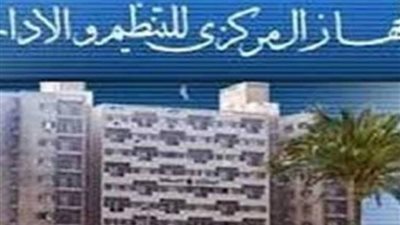 التنظيم والادارة: 4 فئات من الموظفين لهم حق الاختيار فى الحصول على 3 ايام إجازة أسبوعيا