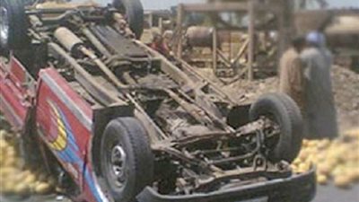 عاجل.. قطة تتسبب فى اصابة 17 عاملا بالدقهلية