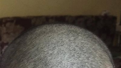 التنمر المدرسى بمدارس المنيا