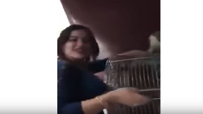  مفاجأة.. مباحث الدقهلية: فتاة المنصورة المتحرشة بالقرد متورطه فى قضيتى آداب