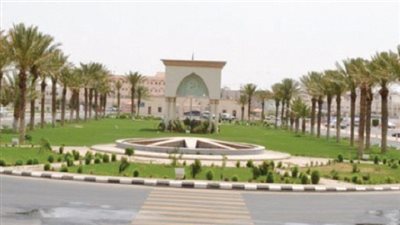 أخر موعد للتقديم السبت المقبل| جامعة إماراتية كبري تعلن عن وظائف جديدة لأعضاء هيئة التدريس المصريين 