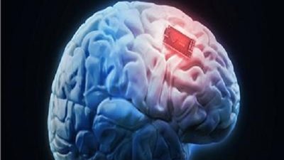 علماء صينيون يخططون لرسم خريطة ثلاثية الأبعاد للدماغ البشري