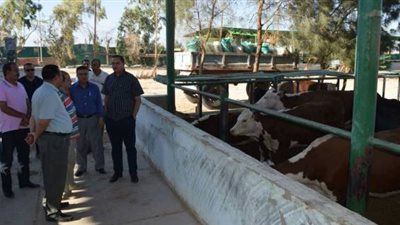  مليون جنيه لتنمية الثروة الحيوانية بجامعة سوهاج 