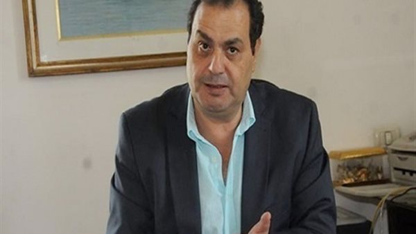 د. أنور مغيث 