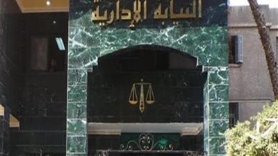 النيابة الادارية تعترف: بعض المعلمين من اسباب تواجد التحرش الجنسى فى المدارس.. فيديو