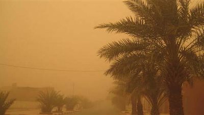 عاجل| الأرصاد تحذر 