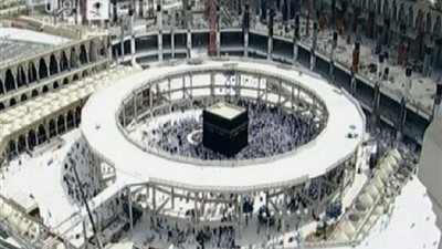 الصراصير تمنع الصلاة فى المسجد الحرام لأول مرة فى التاريخ.. فيديو