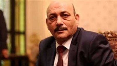 برلمانى: الضغوط مستمرة على وزارتى المالية والتعليم لتنفيذ مطالب المدرسين