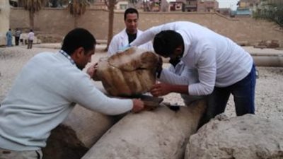 بدء أعمال ترميم تمثال رمسيس الثاني بمنطقة آثار أخميم بسوهاج
