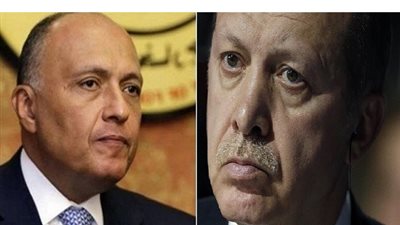 بالفيديو.. سامح شكري يصفع 