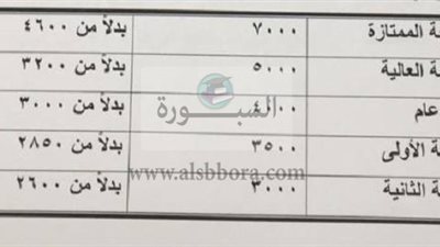 عاجل| وزارة المالية تعلن جدول المرتبات الجديد لجميع العاملين بالدولة بعد قرارات 