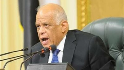 البرلمان يوافق على قرار رئيس الجمهورية رقم 8 لسنة 2019