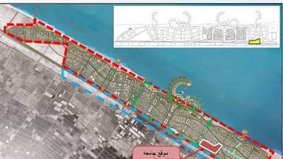 جامعة المنصورة الجديدة تعلن حاجتها الى اعضاء هيئة التدريس من المعيد الى الاستاذ