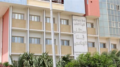 وفد طبي انجليزي متخصص في جراحات قلب الأطفال يزور مستشفيات قنا الجامعية يونيو القادم