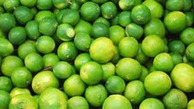 بيان عاجل لوزارة الزارعة بشأن الارتفاع الجنونى لاسعار الليمون