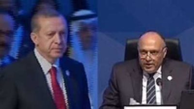 عاجل| وزير الخارجية المصري يصفع أردوغان