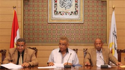 تنفيذى المهن التعليمية يصدر قرارا واجب التطبيق بشأن المعلمين المترددين على النقابة