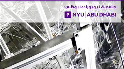 جامعه نيويورك بأبوظبي تعلن عن وظائف شاغرة لاعضاء هيئة التدريس.. ننشر التفاصيل