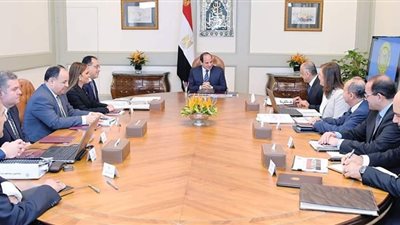 خلال اجتماعها بالسيسي| الحكومة تعلن عن أخبار سارة للمواطنين