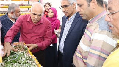 رئيس جامعة جنوب الوادى يفتتح الدورات التدربية فى مجال ديدان الحرير