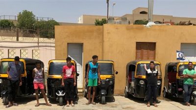 جهاز مدينة القاهرة الجديدة يشُن حملة على مركبات