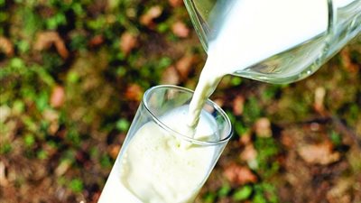 ضبط عصابة تبيع حليباً من الشامبو والطلاء