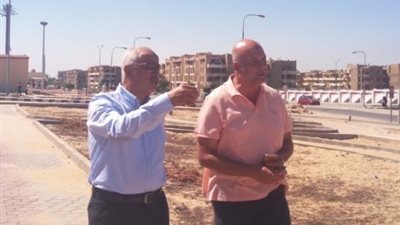 مساعد نائب رئيس