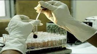 التعليم تحدد موعد اجراء تحليل المخدرات على المعلمين