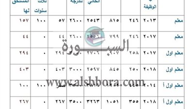 هام| جدول وزارة المالية بشأن الأجر الأساسي والإجمالي والحافز التكملي وإجمالي الفروق المستحقة للمعلمين وفقا للدرجات الوظيفية 