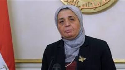 رئيس جودة التعليم تشيد بجودة العملية التعليمية بشمال سيناء