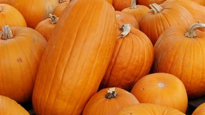 6 فوائد خارقة لقرع العسل تغنيك عن الفياجرا