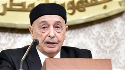  النواب الليبى يدعو مجلس الأمن لعقد جلسة طارئة بشأن إرسال تركيا لمرتزقة بحراً 