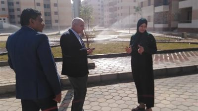 مساعد نائب رئيس 